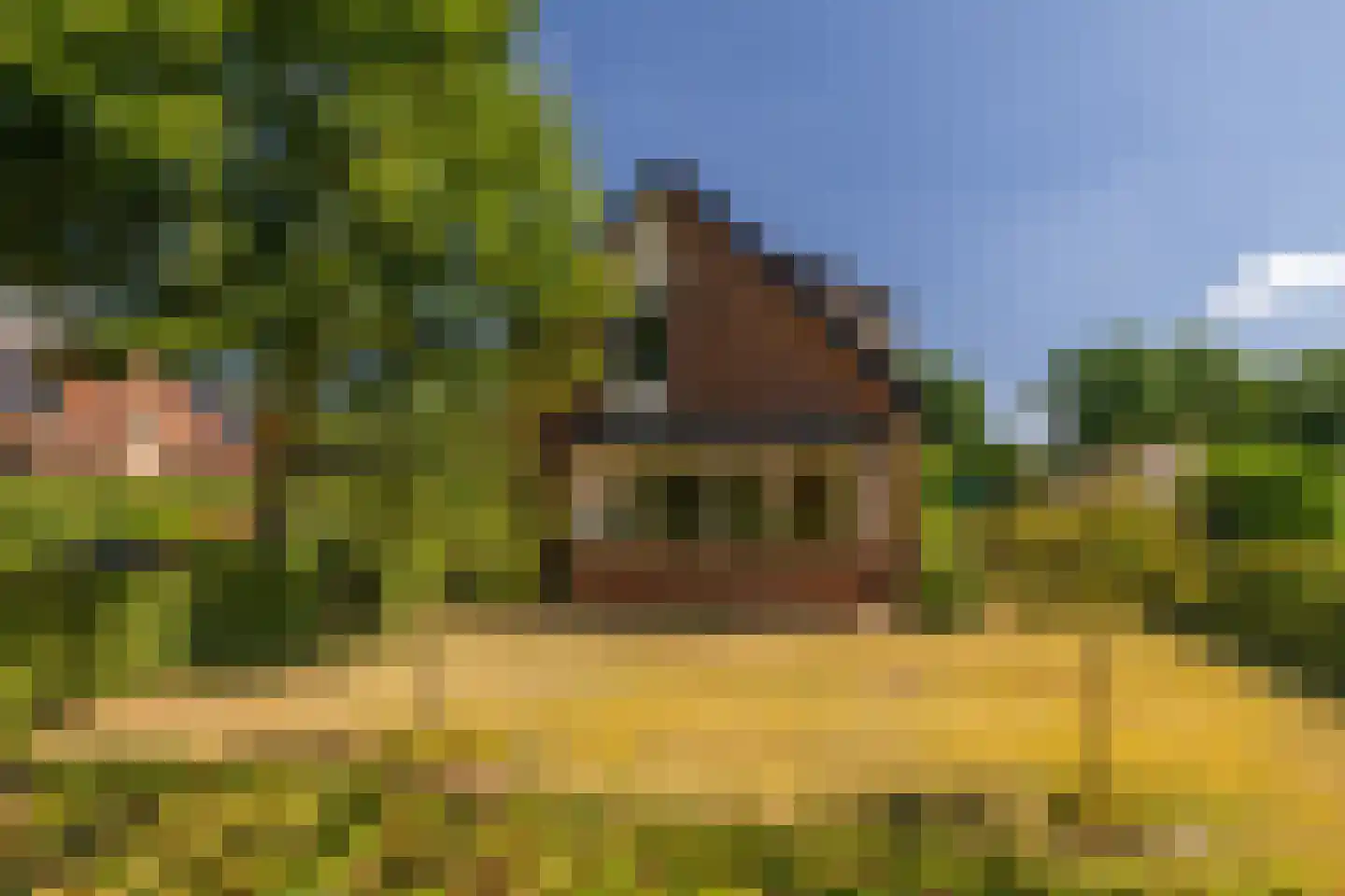 Akkerweg 11 Hulshorst thumbnail 39