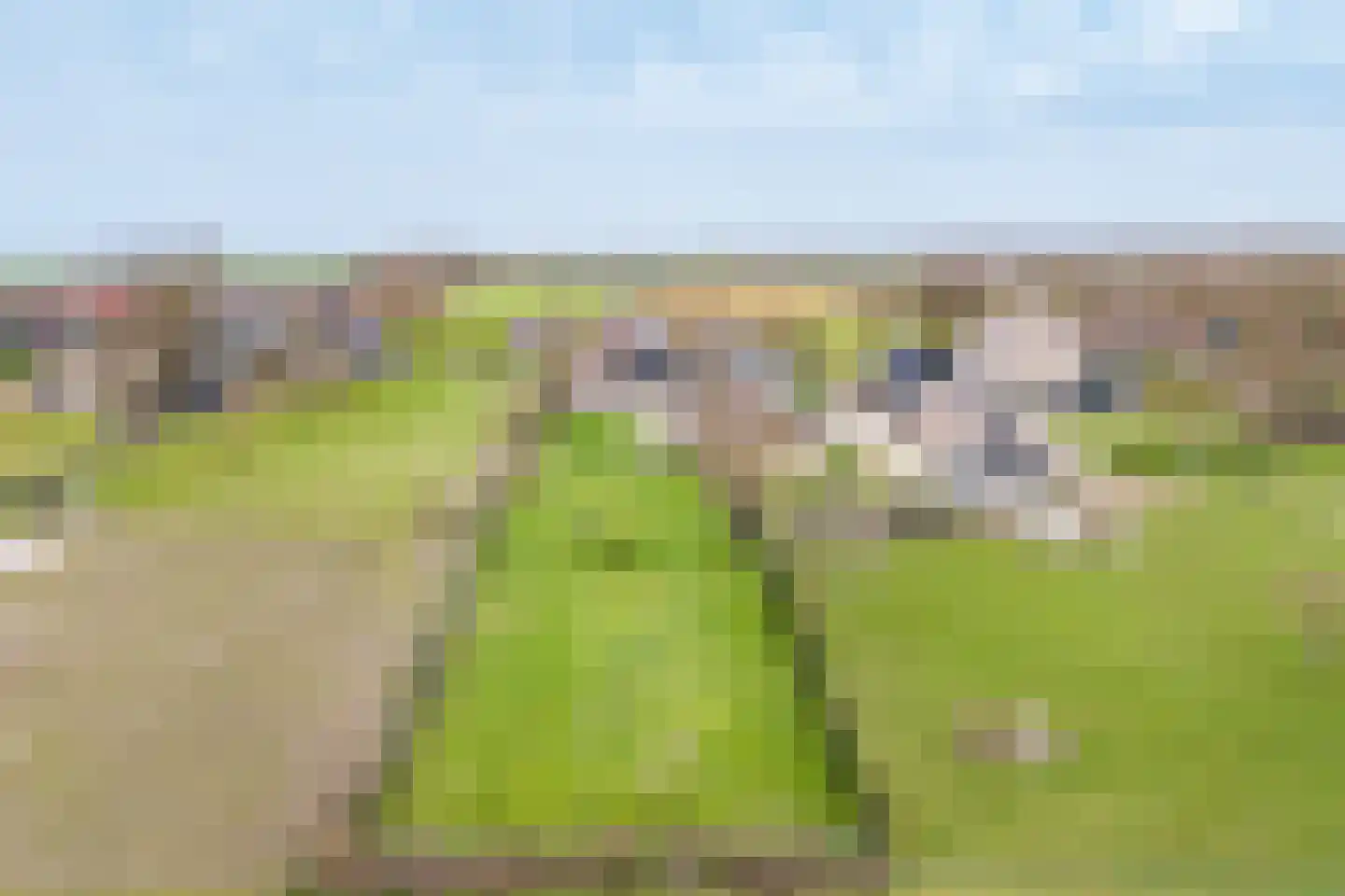 Akkerweg 14 Den Oever thumbnail 22