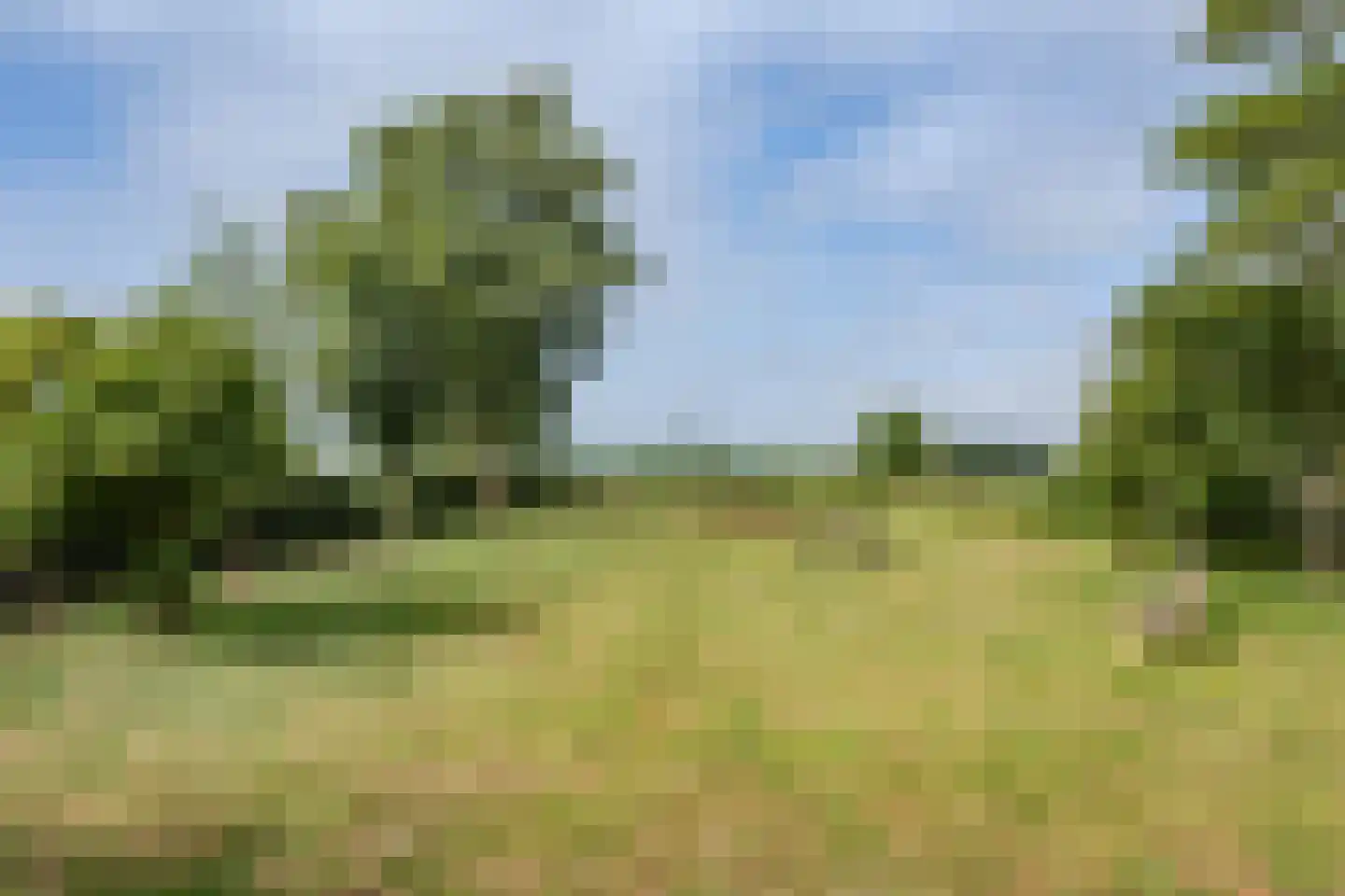 Akkerweg 14 Den Oever thumbnail 25