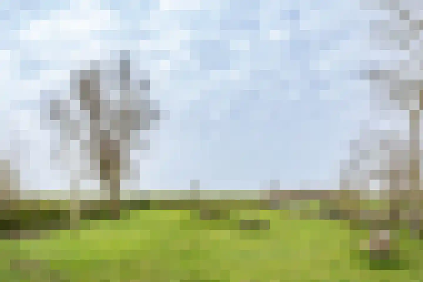Akkerweg 14 Den Oever thumbnail 27