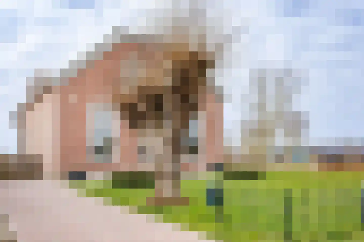 Akkerweg 14 Den Oever thumbnail 29