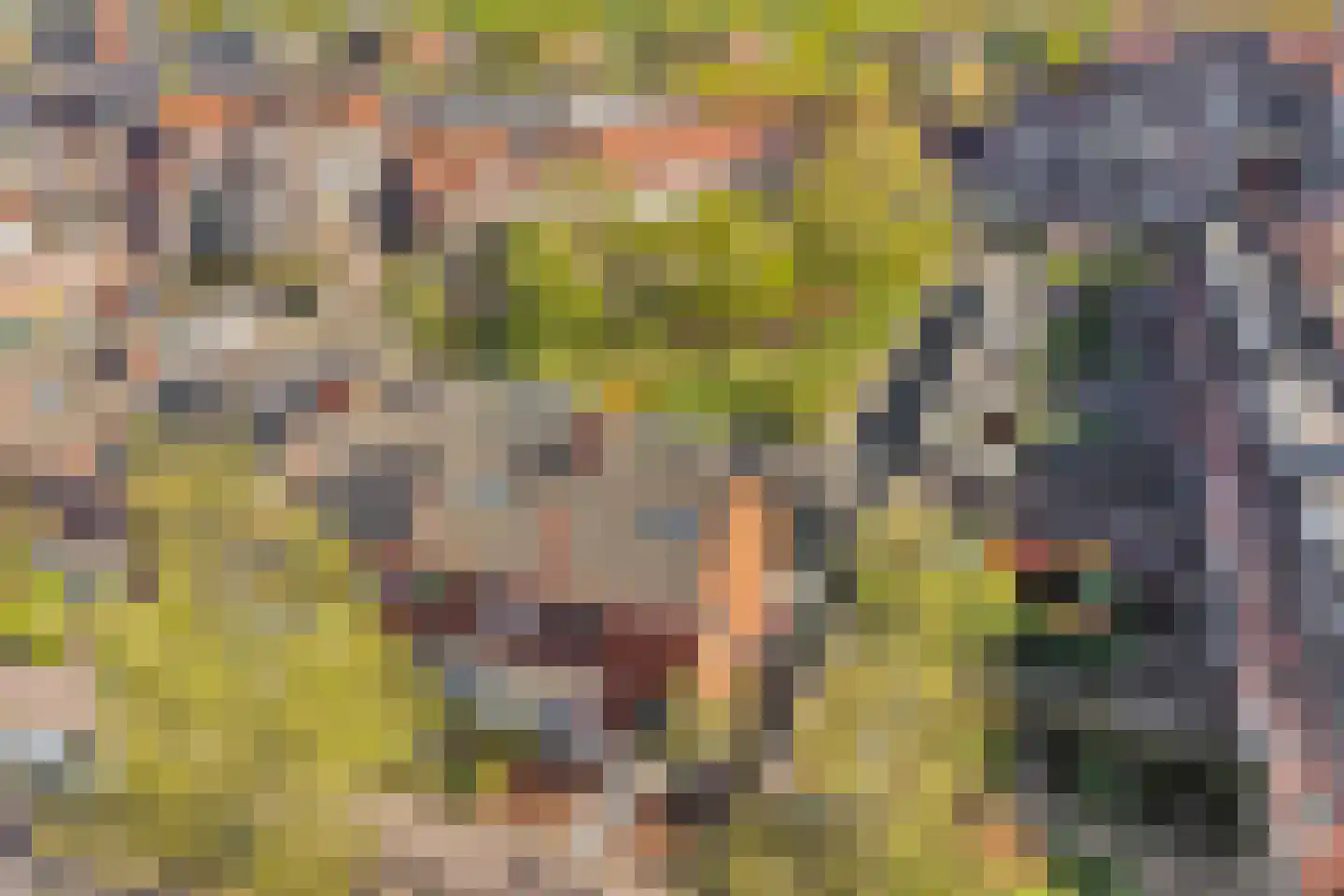 Akkerweg 15 Huizen thumbnail 33