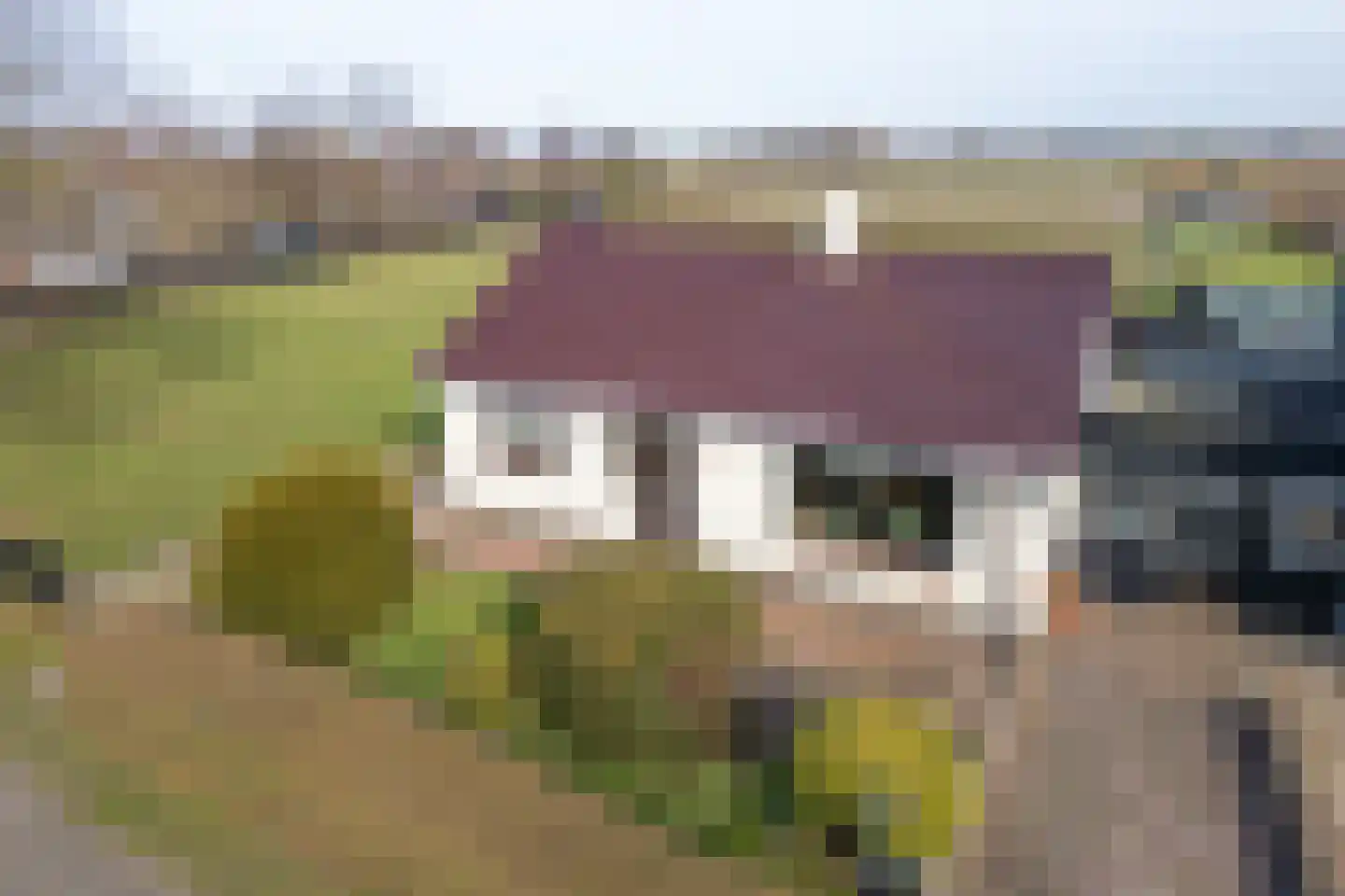 Akkerweg 19 a Den Oever thumbnail 5