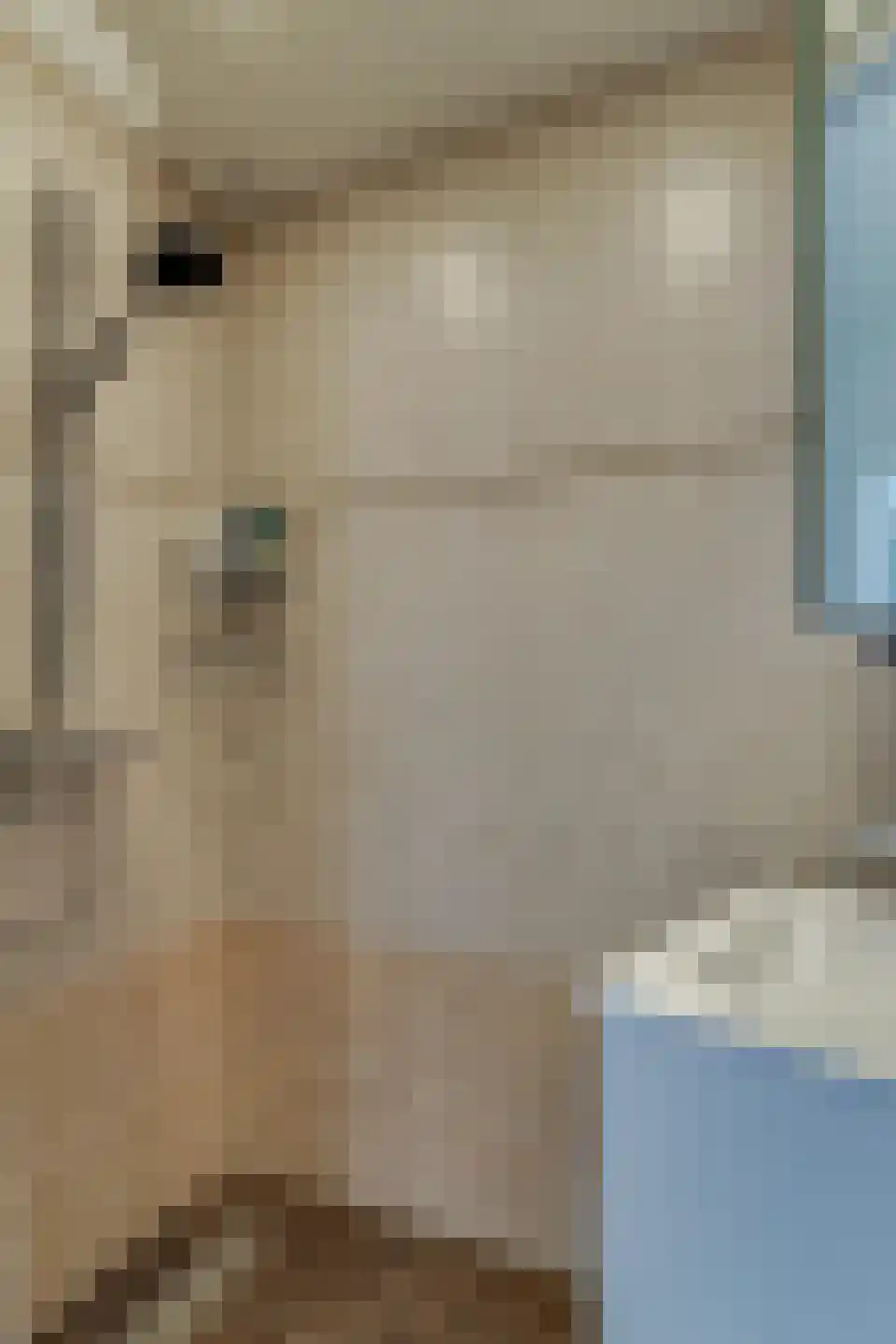 Akkerweg 19 a Den Oever thumbnail 9