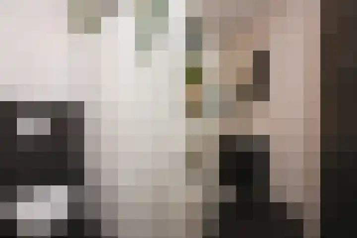 Akkerweg 19 Wijchen thumbnail 21