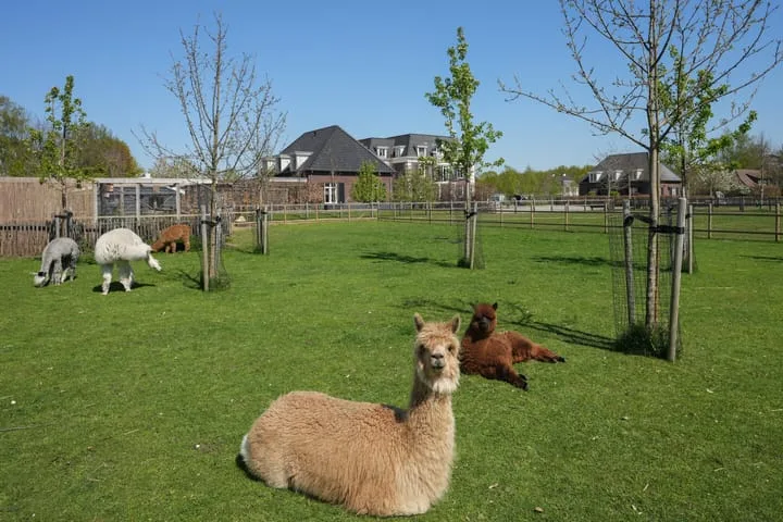 Akkerweg 19 Wijchen thumbnail 31