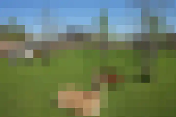 Akkerweg 19 Wijchen thumbnail 31