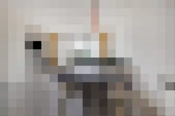 Akkerweg 2 A Etten-Leur thumbnail 11