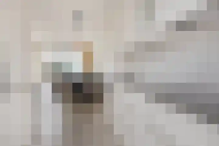 Akkerweg 2 A Etten-Leur thumbnail 12