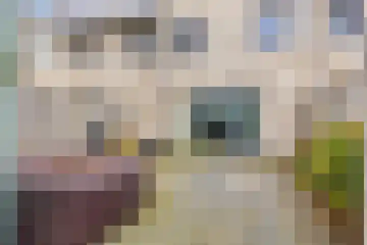 Akkerweg 2 A Etten-Leur thumbnail 20