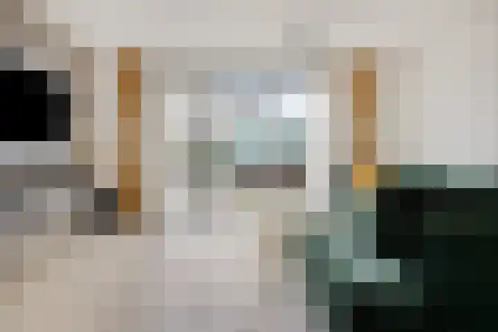 Akkerweg 2 A Etten-Leur thumbnail 4