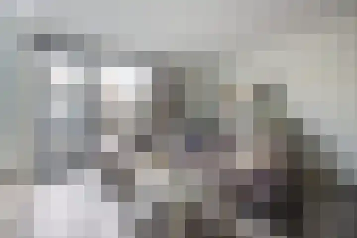 Akkerweg 2 B Etten-Leur thumbnail 12
