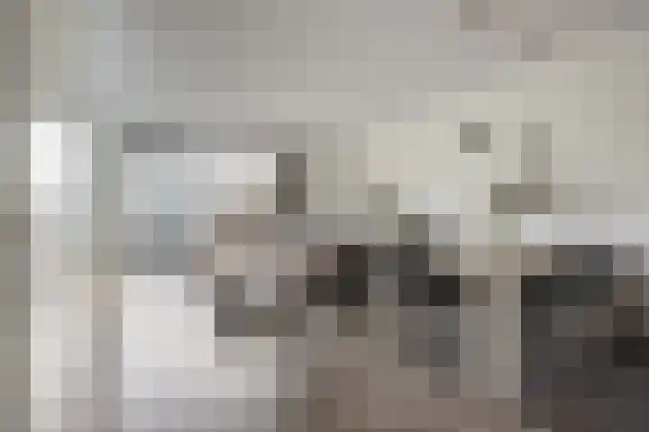 Akkerweg 2 B Etten-Leur thumbnail 8