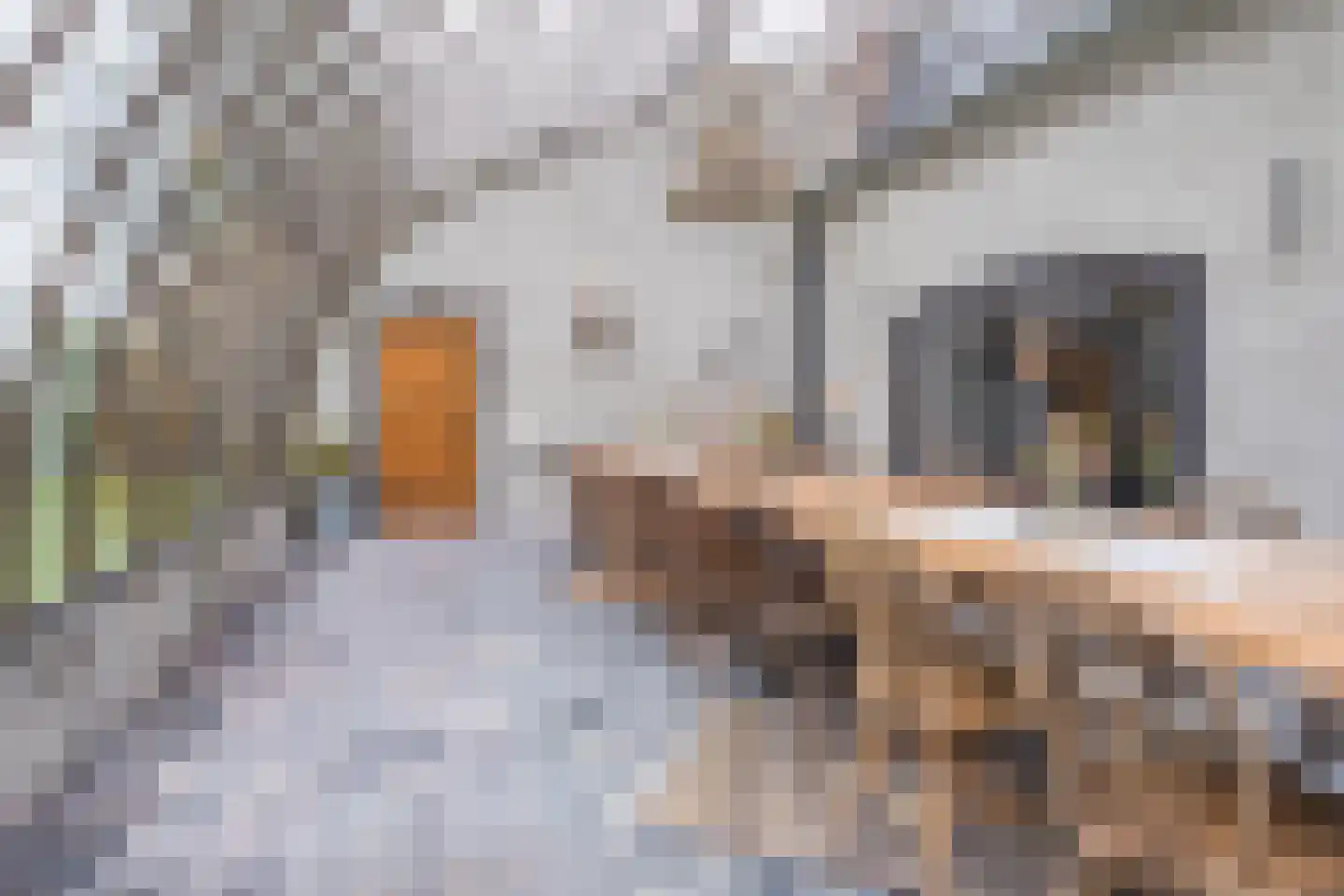 Akkerweg 2 Bladel thumbnail 25