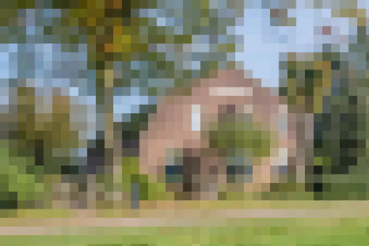 Akkerweg 2 Bladel foto 3