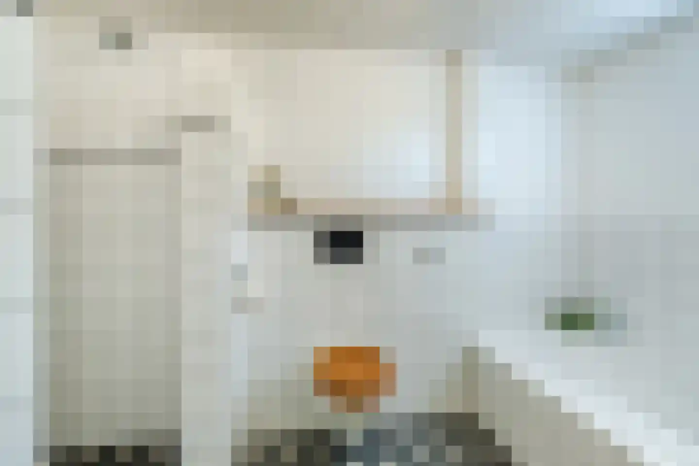 Akkerweg 2 Bladel thumbnail 38