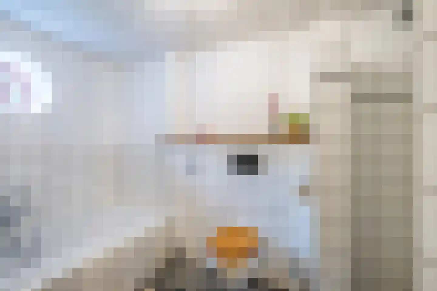 Akkerweg 2 Bladel thumbnail 41