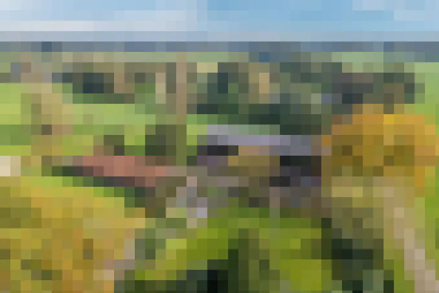 Akkerweg 2 Bladel thumbnail 5