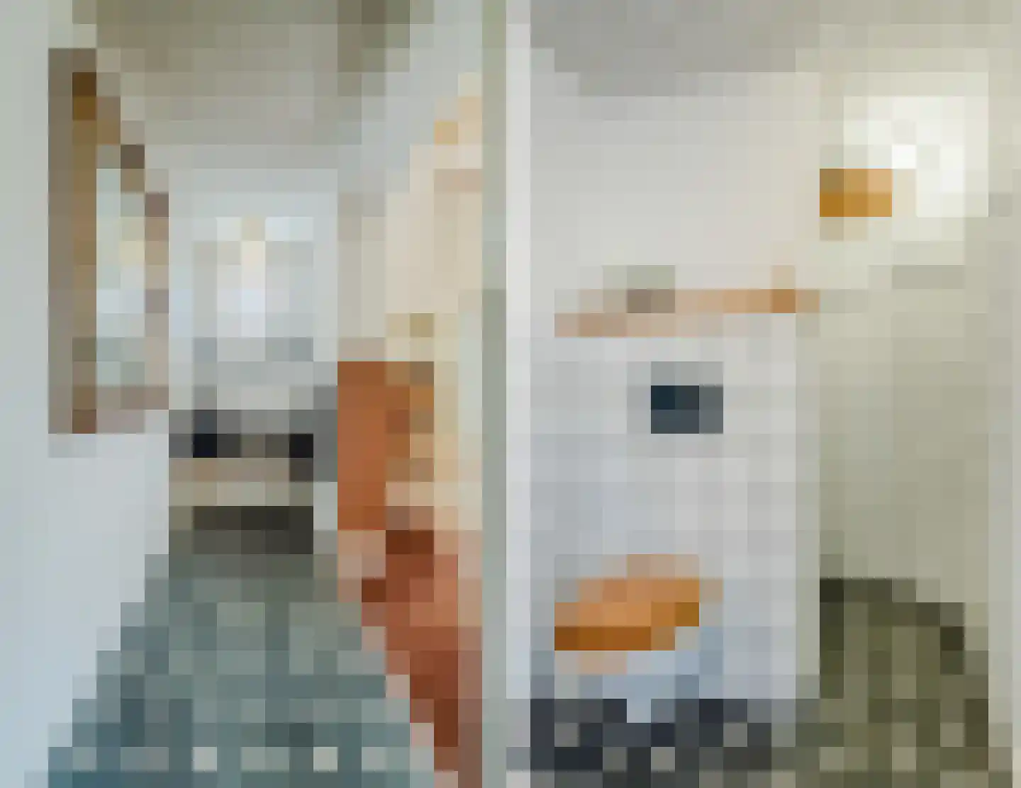 Akkerweg 2 Bladel thumbnail 57