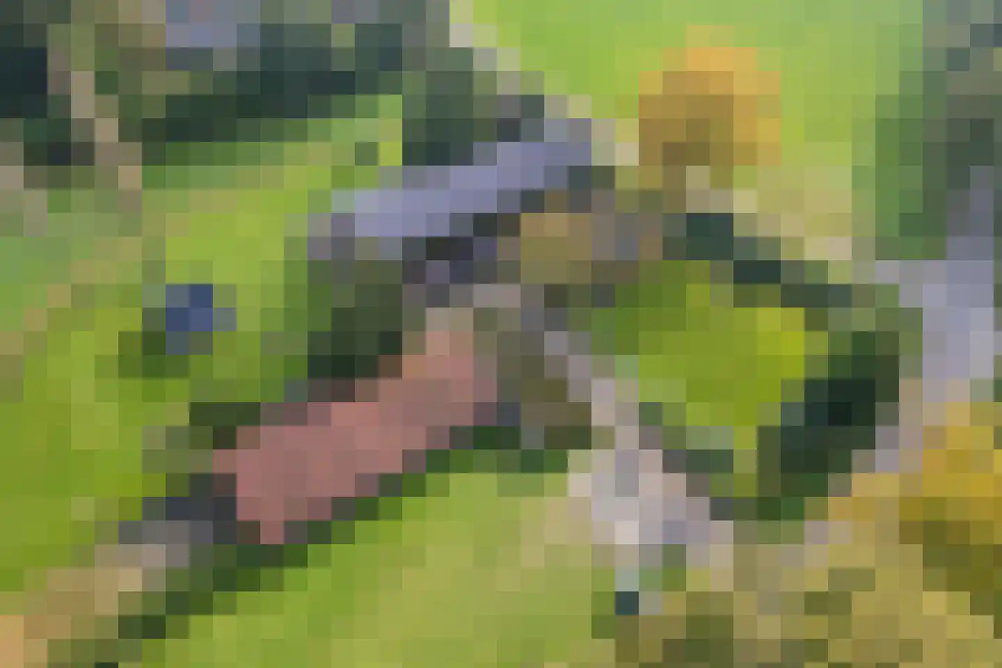 Akkerweg 2 Bladel thumbnail 6