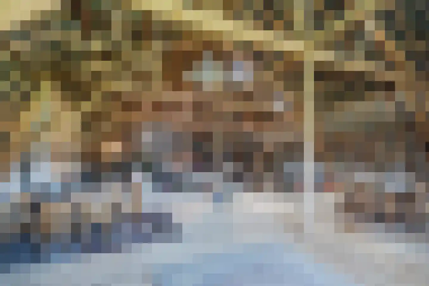 Akkerweg 2 Bladel thumbnail 63