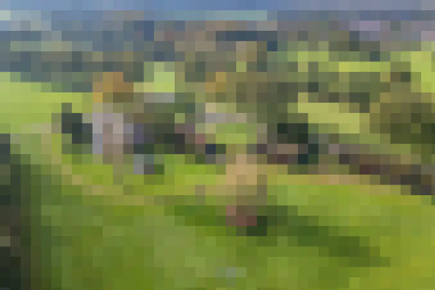 Akkerweg 2 Bladel thumbnail 64