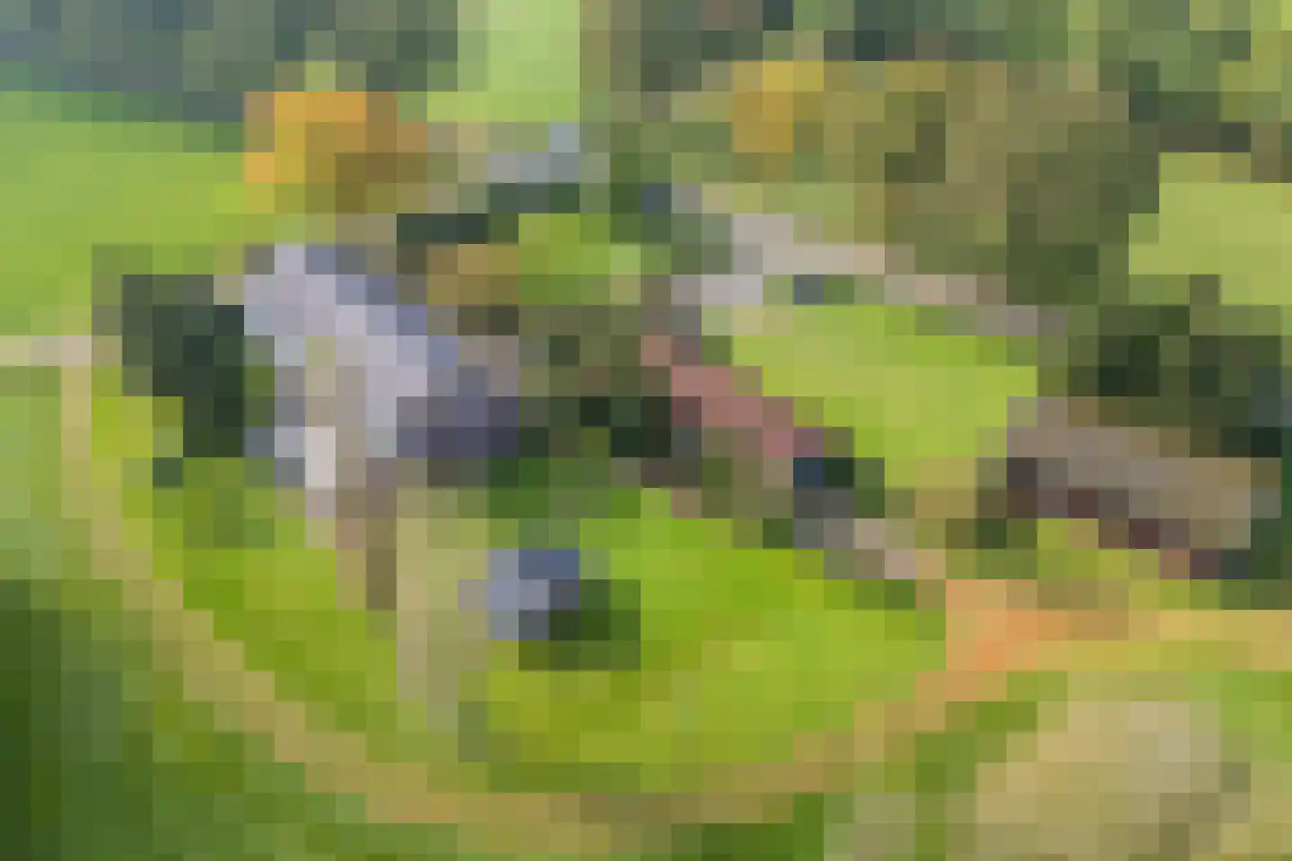 Akkerweg 2 Bladel thumbnail 66