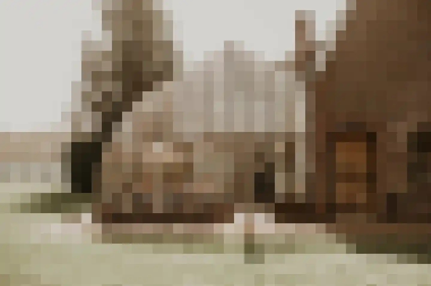 Akkerweg 2 Bladel thumbnail 71