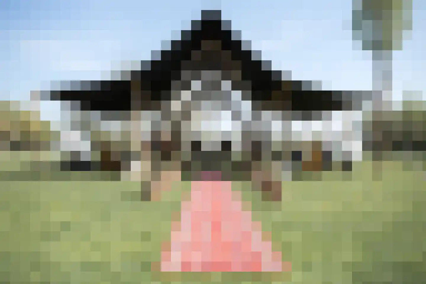 Akkerweg 2 Bladel thumbnail 76