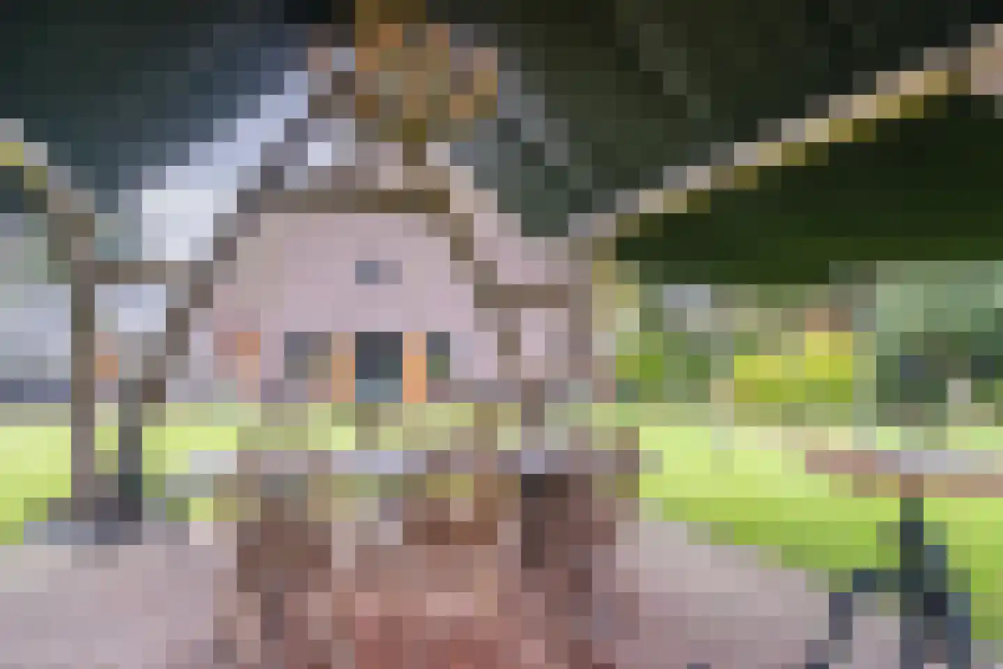 Akkerweg 2 Bladel thumbnail 78
