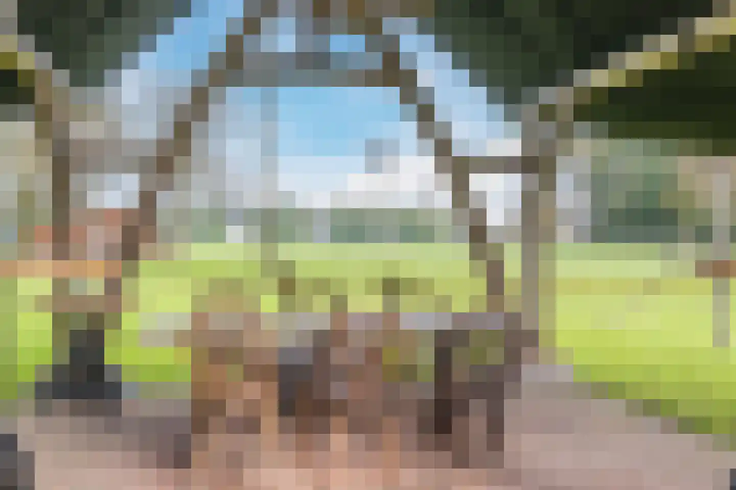 Akkerweg 2 Bladel thumbnail 79