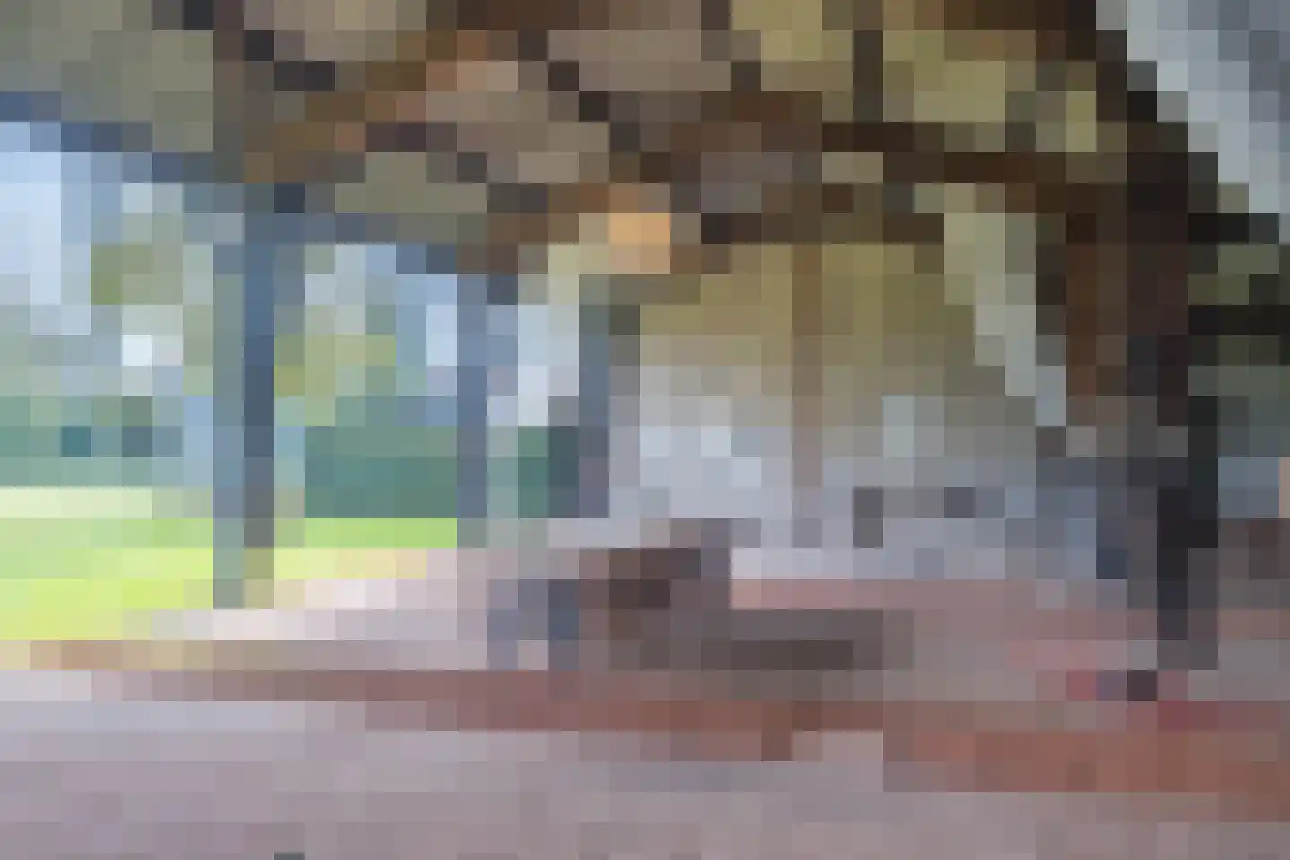Akkerweg 2 Bladel thumbnail 86