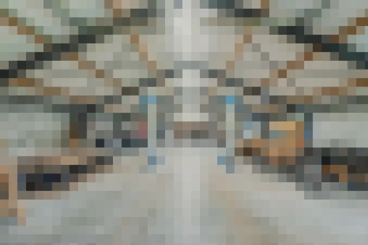 Akkerweg 2 Bladel thumbnail 91