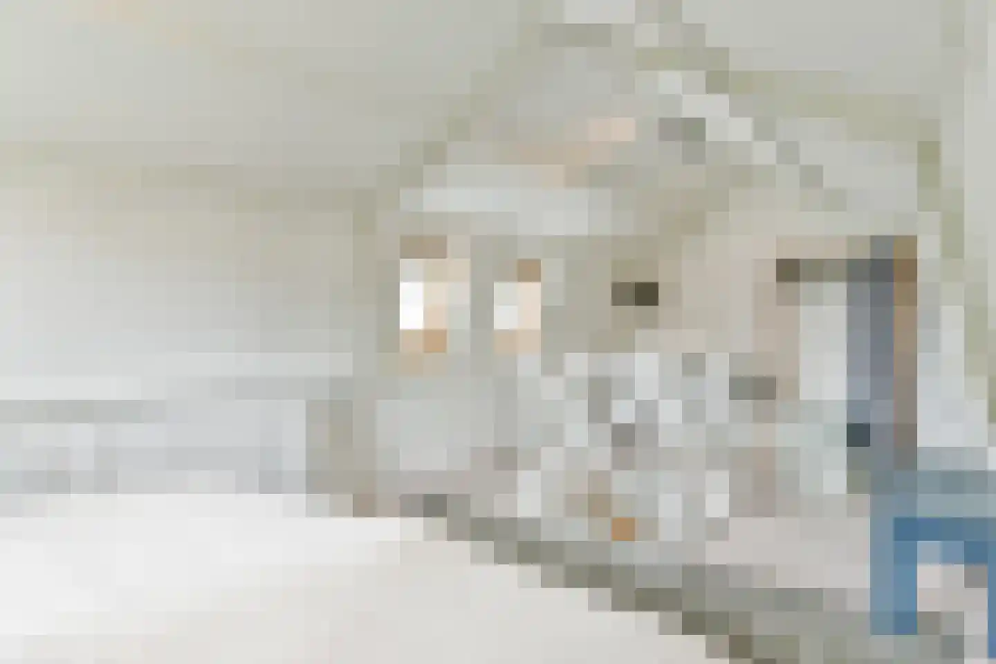 Akkerweg 2 Laren thumbnail 22