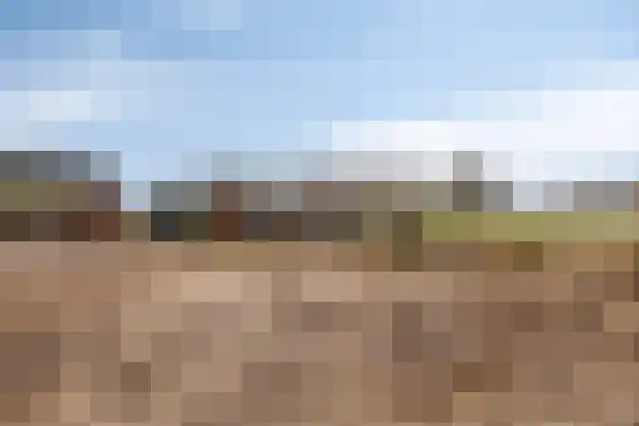 Akkerweg 2 Zelhem thumbnail 10