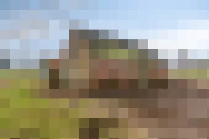 Akkerweg 2 Zelhem thumbnail 12