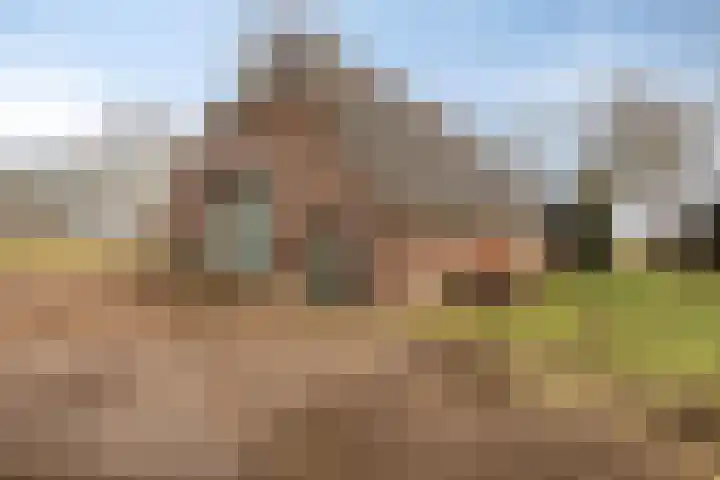 Akkerweg 2 Zelhem thumbnail 13