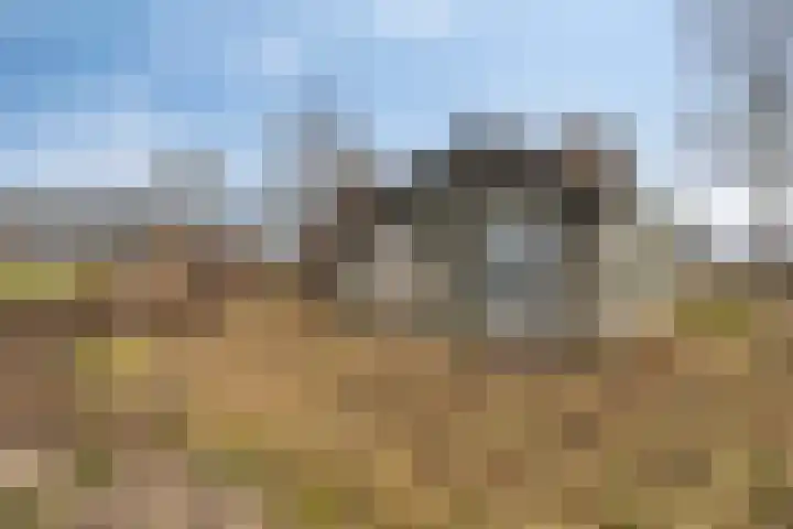 Akkerweg 2 Zelhem thumbnail 14