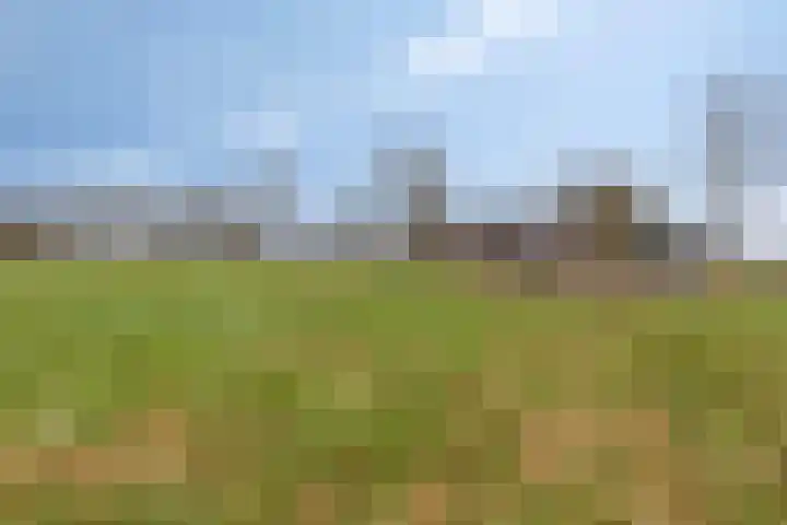 Akkerweg 2 Zelhem thumbnail 16