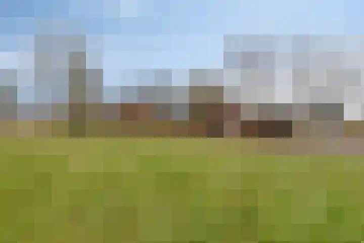 Akkerweg 2 Zelhem thumbnail 17