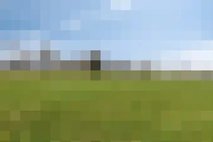 Akkerweg 2 Zelhem thumbnail 18