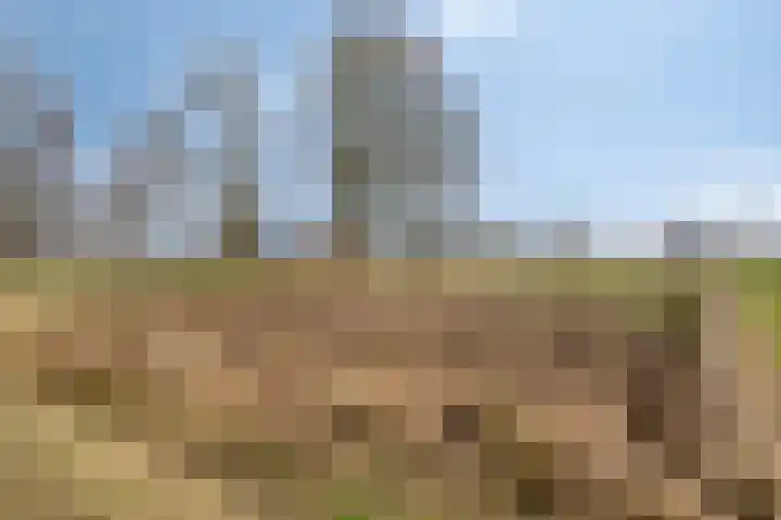 Akkerweg 2 Zelhem thumbnail 19