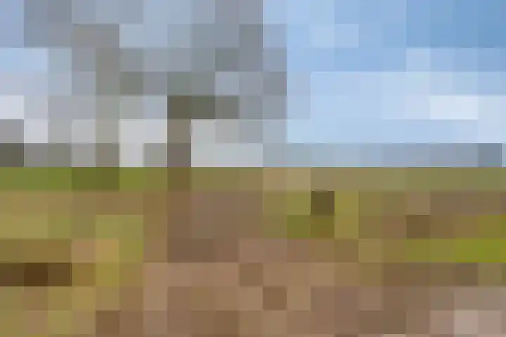 Akkerweg 2 Zelhem thumbnail 20
