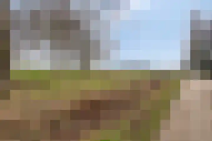 Akkerweg 2 Zelhem thumbnail 21