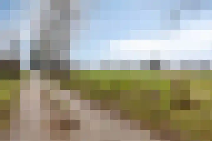 Akkerweg 2 Zelhem thumbnail 22