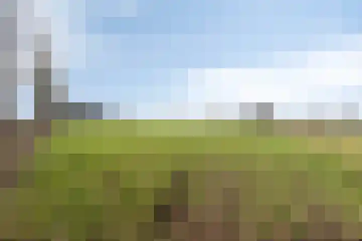 Akkerweg 2 Zelhem thumbnail 23