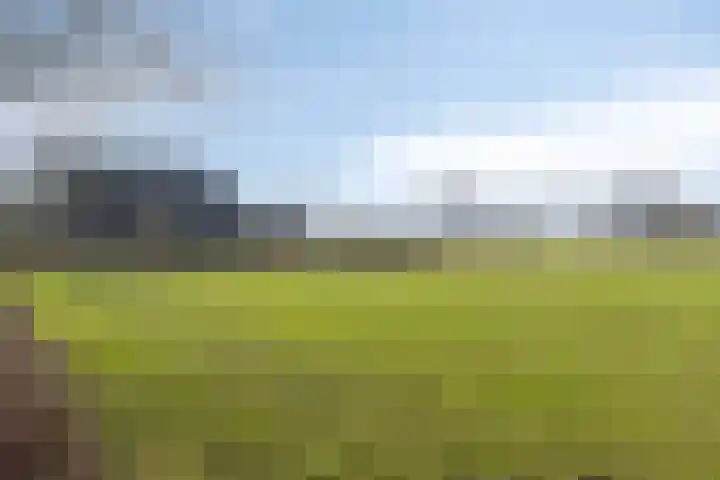 Akkerweg 2 Zelhem thumbnail 24