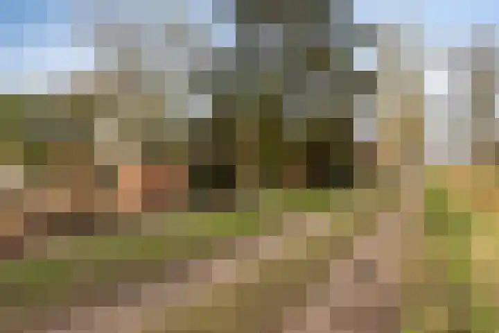 Akkerweg 2 Zelhem thumbnail 6