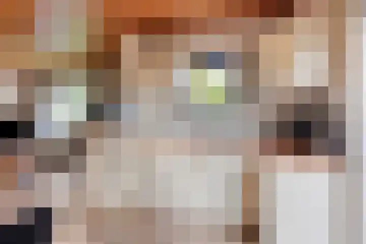 Akkerweg 20 Nieuwlande thumbnail 33