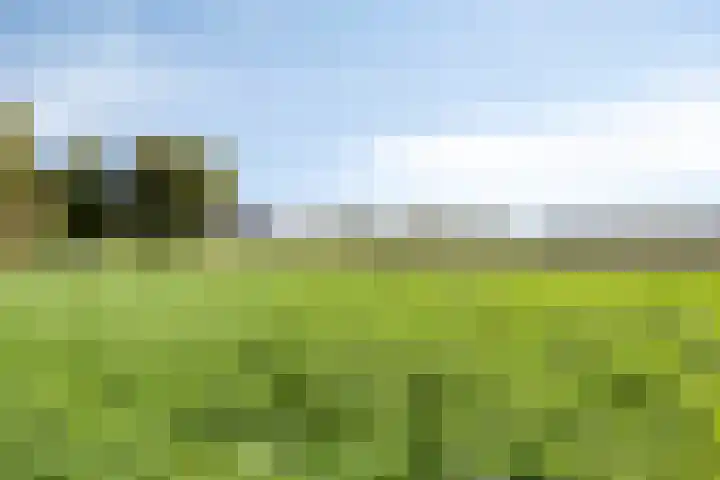 Akkerweg 20 Nieuwlande thumbnail 41